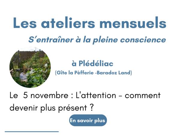 Ateliers méditation à plédéliac